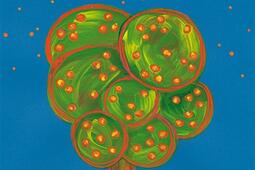 Didlidam didlidom_Pastel_9782211335218.jpg