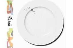 Dish_Princeton Architectural Press_9781568984766.jpg