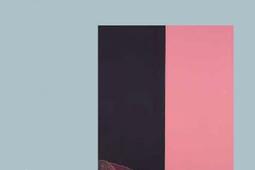Djamel Tatah_BeauxArts de Paris editions_Ministere de la culture_9782840568728.jpg