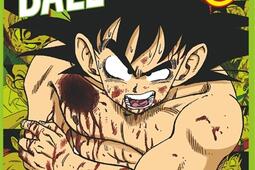 Dragon ball  full color  le roi demon Piccolo _Glenat_9782344068878.jpg