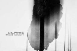 Elegia fantastica.jpg