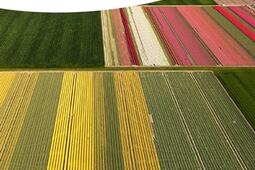 Eloge des limites : par-delà Malthus.jpg