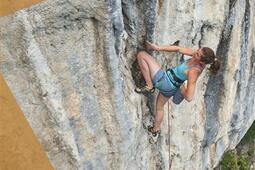 Escalade : initiation, progression, technique, sécurité, entraînement.jpg