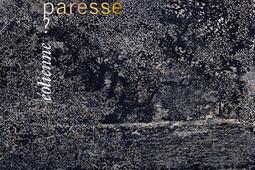 Est-ce par paresse ?.jpg