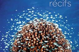 Etonnants récifs : les écosystèmes coralliens.jpg