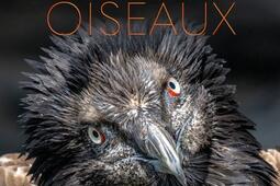 Extraordinaires oiseaux_La Salamandre_9782889585533.jpg