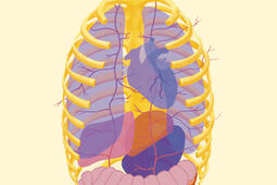 Faire corps  une exploration intime et clinique d_Ed des Equateurs_9782382844922.jpg