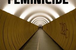 Feminicide_Nouveau Monde editions_9782380944921.jpg