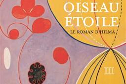Femme oiseau etoile  le roman dHilma_Actes Sud_9782330219567.jpg
