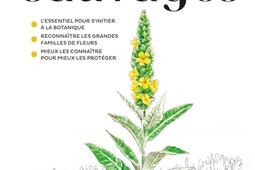 Fleurs sauvages.jpg