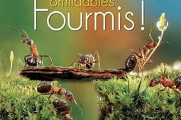 Formidables fourmis !.jpg