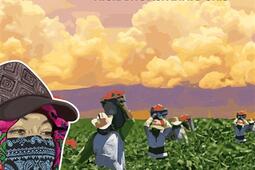 Fruits frais corps brises  les ouvriers agricol_CNRS Editions_9782271149572.jpg