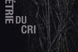 Géométrie du cri.jpg