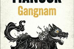 Gangnam_Flammarion_9782080468925.jpg