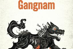 Gangnam_Jai lu_9782290440889.jpg