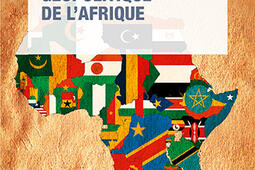 Geopolitique de lAfrique_Que saisje _9782715439573.jpg
