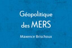Geopolitique des mers  gouverner lautre partie _PUF_9782130852728.jpg