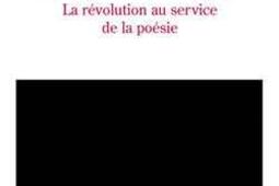 Guy Debord  la revolution au service de la poesie_Fayard_.jpg