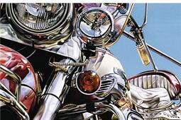 Hells angels  letrange et terrible saga des ga_Gallimard_9782070437375.jpg