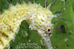Hippocampes : une famille d'excentriques.jpg