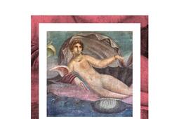 Histoire de la sexualite Vol 2 Lusage des pla_Gallimard_9782072205316.jpg