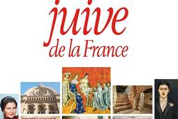 Histoire juive de la France_Albin Michel_9782226448033.jpg
