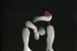 Horvat photographie Couturier_Gallimard_Fondation Dina ViernyMusee Maillol_.jpg