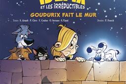 Idefix et les irreductibles Vol 9 Goudurix fa_Albert Rene_9782864977575.jpg