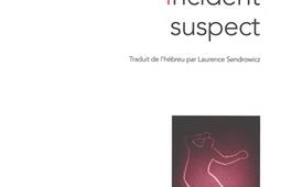 Incident suspect_Editions theatrales_9782842609894.jpg