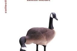 Inculte : collectif littéraire.jpg