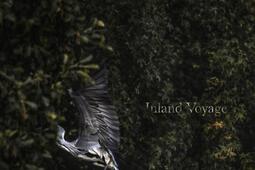 Inland voyage.jpg