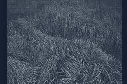 Invisible parallèle : îles de Lérins.jpg