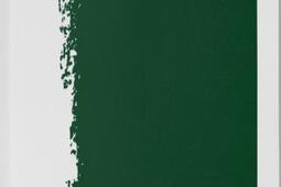 J'ai appris à rêver (sur les pas de Stevenson).jpg