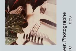 Jan Groover, photographe : laboratoire des formes.jpg