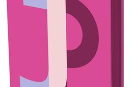 Japon_Hachette Tourisme_9782017326762.jpg