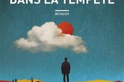 Je suis ne dans la tempete_Allary editions_9782370736208.jpg