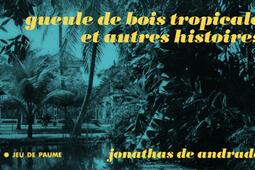 Jonathas de Andrade  gueule de bois tropicale et _Ed du Jeu de paume_9782487132023.jpg