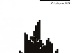 Journal de bord de Gaza_Libertalia_9782377293643.jpg