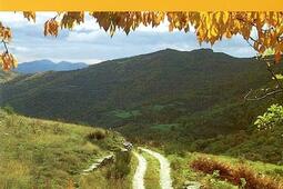 Journal de route en Cevennes  voyage avec un an_Privat SAS_Club Cevenol_.jpg