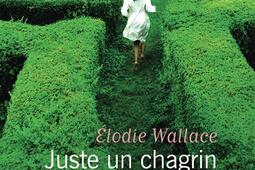 Juste un chagrin damour_Flammarion_9782080498731.jpg
