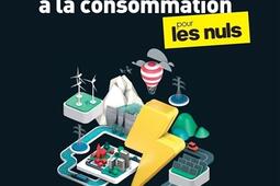 L'électricité, de la production à la consommation, pour les nuls.jpg