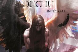 L'ange déchu : intégrale.jpg