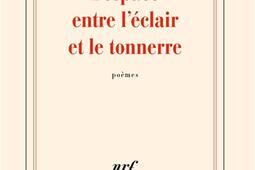 L'espace entre l'éclair et le tonnerre : poèmes.jpg