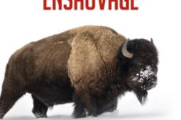 L'esprit ensauvagé : à l'écoute des peuples premiers, pour une autre façon d'être au monde.jpg