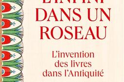 L'infini dans un roseau : l'invention des livres dans l'Antiquité.jpg