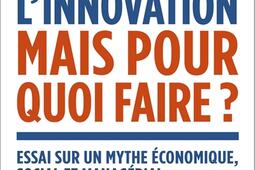 L'innovation, mais pour quoi faire ? : essai sur un mythe économique, social et managérial.jpg