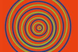 L'op art rencontre les neurosciences.jpg