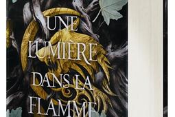 La chair et le feu Vol 2 Une lumiere dans la f_De Saxus_9782378764821.jpg