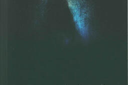 La danse de l'ombre.jpg