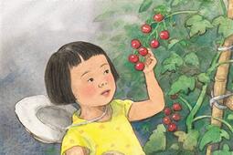 La fête de la tomate.jpg